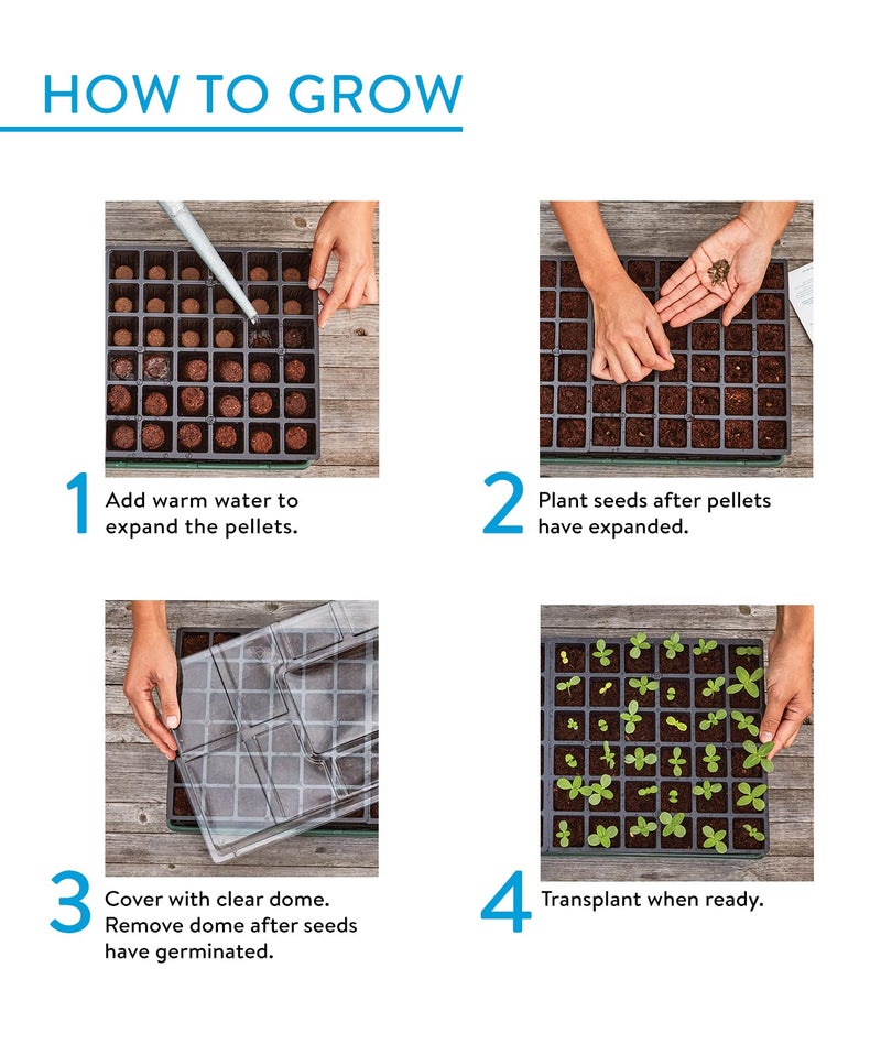 Burpee XL Self-Watering Growing System Indoor Seed Starting 10" W x 20" L x 5" H, 1 Kit (32 Cells) - Image 3
